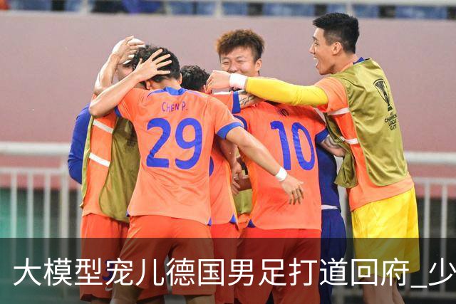 大模型宠儿德国男足打道回府 少了人性观察数据等于废纸